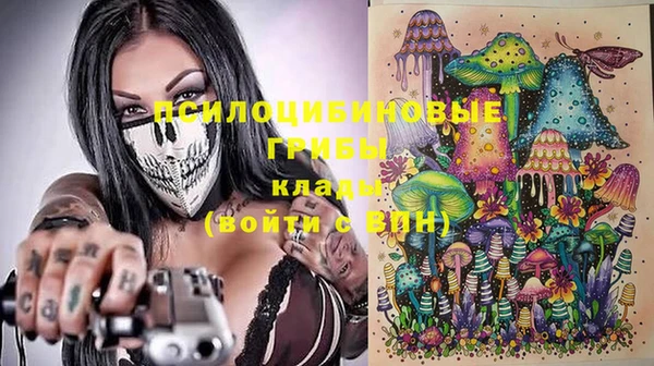 мет Алексин